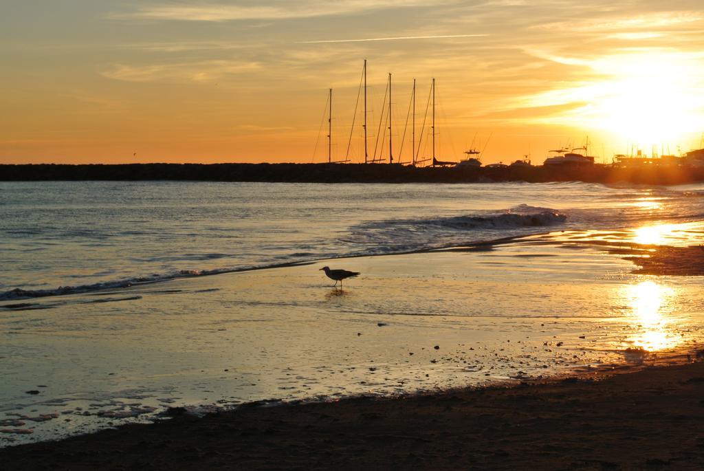 Hotel Les Palmiers En Camargue Saintes-Maries-de-la-Mer Quarto foto
