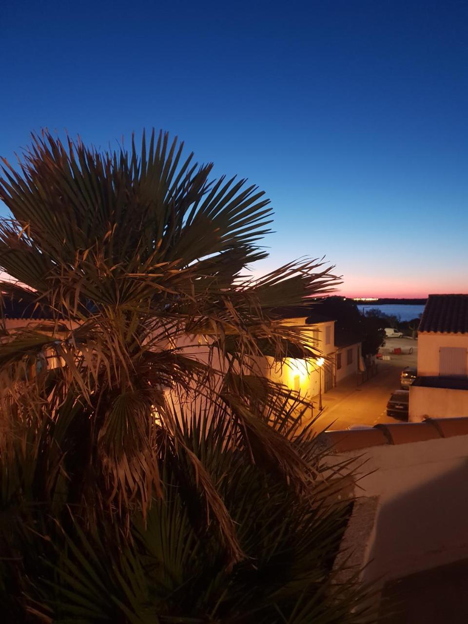 Hotel Les Palmiers En Camargue Saintes-Maries-de-la-Mer Exterior foto